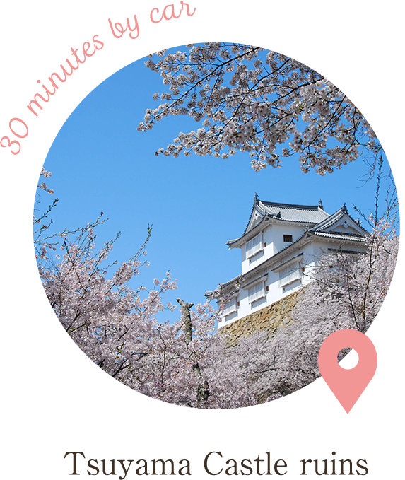 桜の名所 津山城跡