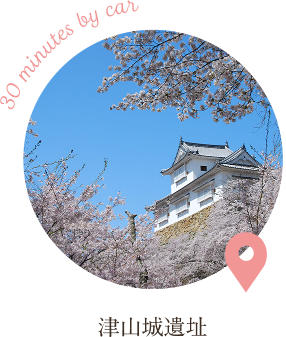 桜の名所 津山城跡